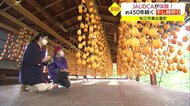 【TSK×JAL】風に揺れるオレンジのカーテン!客室乗務員が干し柿づくりを体験(島根・松江市)