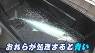 “世界一の魚”一流料理人から注文殺到　価格は通常の3倍「藍の鰆」スゴ腕漁師の秘技に迫る【福岡発】