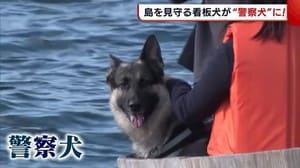 “たらい舟”で島を見守る看板犬 いざというときは“島守る警察犬”に!【新潟・佐渡市】