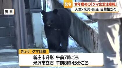 天童・新庄・米沢などでクマ目撃・出没相次ぐ　2026年度初「クマ出没注意報」発令　山形