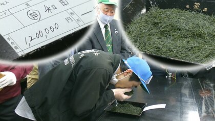 大間産クロマグロより高いお茶!?　1kg120万円を新茶初取引でつけたワケ【静岡発】