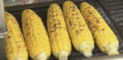 札幌・大通公園”とうきびワゴン”復活！売れすぎて休業からの”地元産もぎたて”大人気【北海道発】