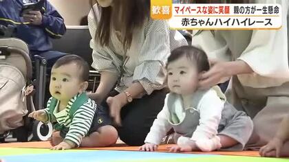 赤ちゃんハイハイレース　子どもの日に「よーいスタート！」　親の方が一生懸命