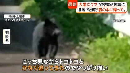 カメラが捉えた体長約1メートルのクマ 近くに大好物“ミツバチの巣箱