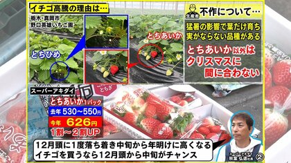今年はちょっと異例の高さ」冬の味覚に“黄色信号”…「エッグショック