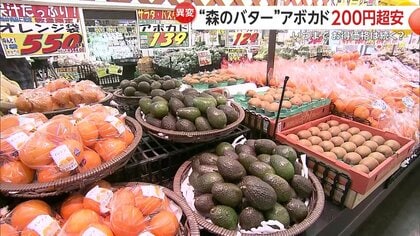 3月中頃まで安く買える」アボカド“売値100円台前半”も メキシコで記録