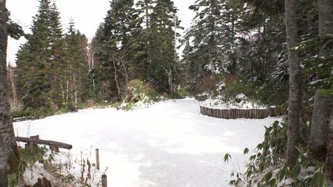 雪はおろか氷も見られない…名古屋から雪を求めて岐阜を北上 標高2156mでやっと見られた銀世界