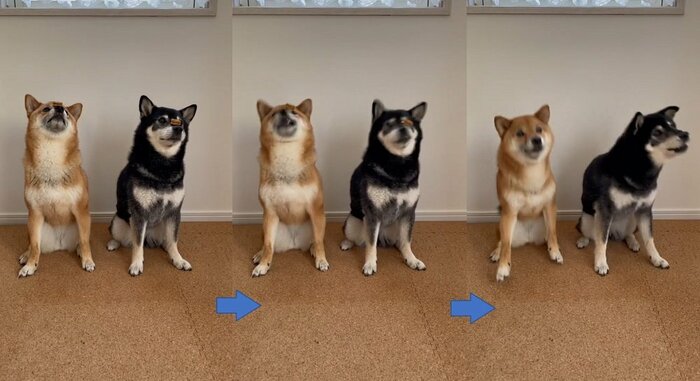 得意な技「鼻パク」