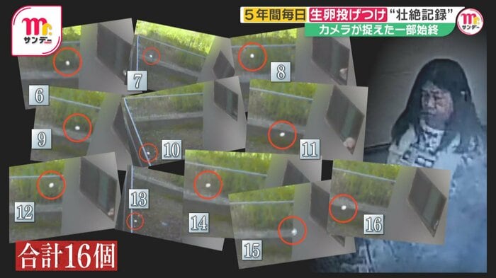 合計16個の卵が投げ込まれていた