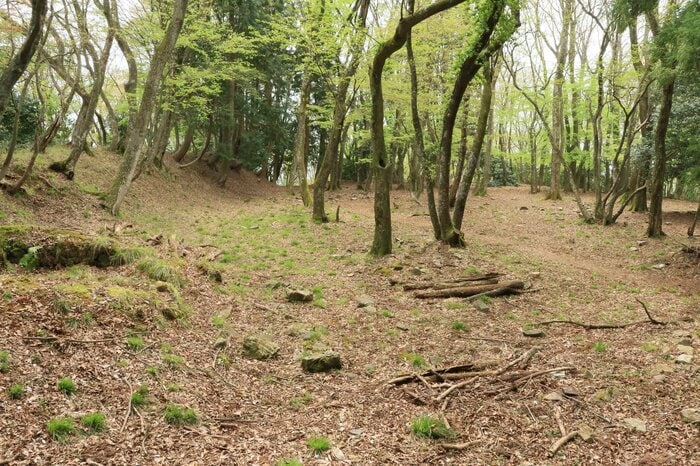 京極丸の内部。丁寧に削平されている