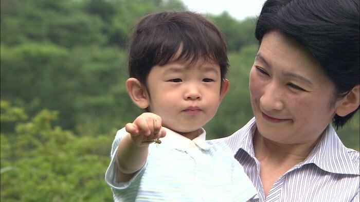 平成20(2008)年