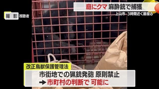 国も、市街地での猟銃の発砲を市町村の判断でできるよう法改正を行い対策を進めている