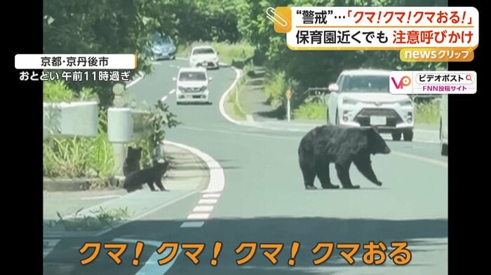 車道に現れた親子グマ（FNN投稿サイト「ビデオポスト」）