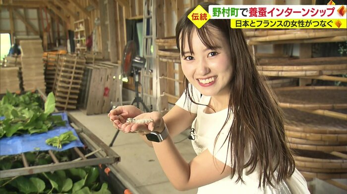 テレビ愛媛・曽我部愛麗アナウンサーもカイコの魅力に?