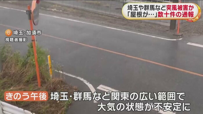 地面をよく見ると、ひょうが(埼玉・加須市 11日午後)
