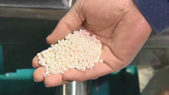 不良品のコメがプラスチックに…“規格外”活用で食品ロスや福祉も変わる!?【新潟発】