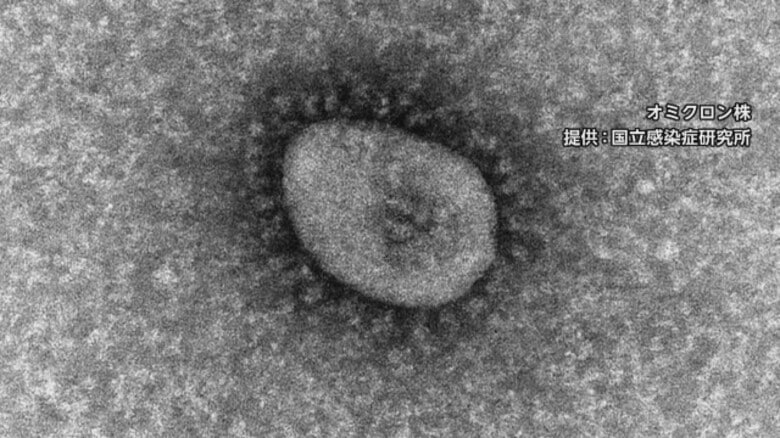 【速報】新潟県の新規感染者数　１３０人程度の見通し　新型コロナウイルス