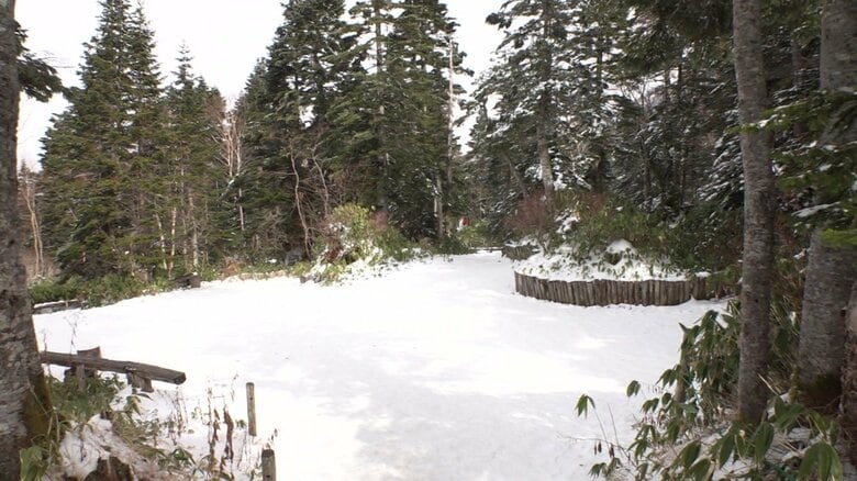 雪はおろか氷も見られない…名古屋から雪を求めて岐阜を北上　標高2156mでやっと見られた銀世界｜FNNプライムオンライン