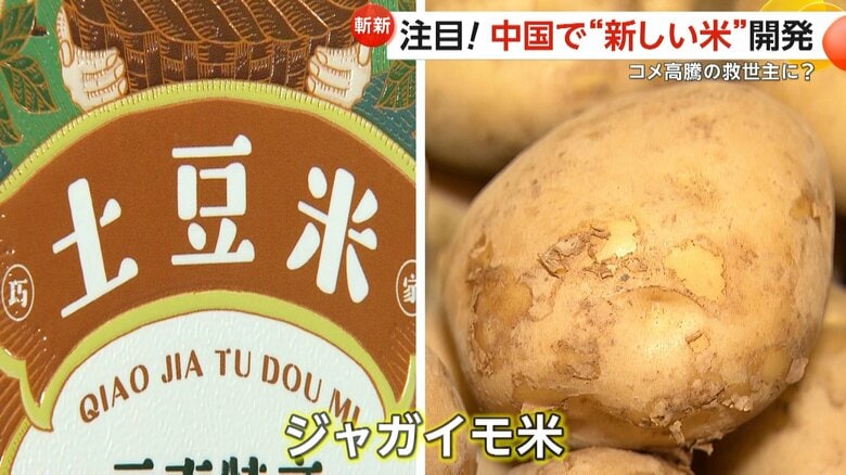 【斬新】中国で“ジャガイモ米”開発　米高騰の救世主となるか　1kg700円で割高も…SNS「1度は食べてみたい」｜FNNプライムオンライン