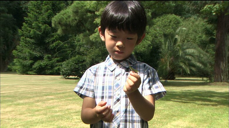 平成24年8月(2012年) 6歳の誕生日映像(赤坂御用地)