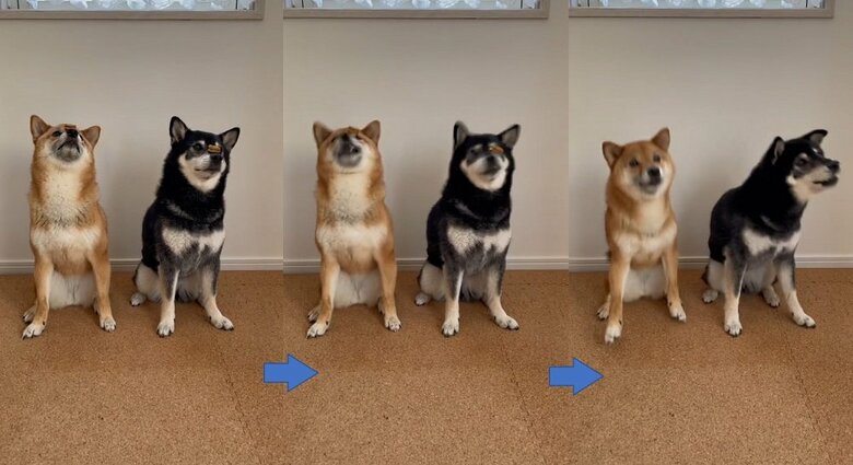 得意な技「鼻パク」