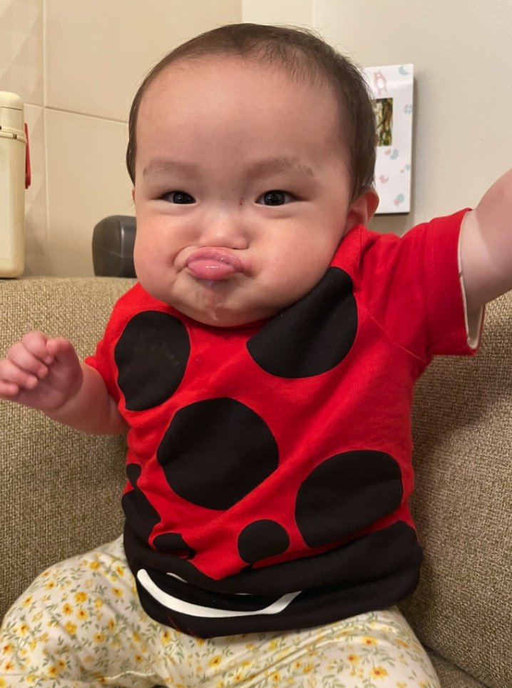 提供：ののさん