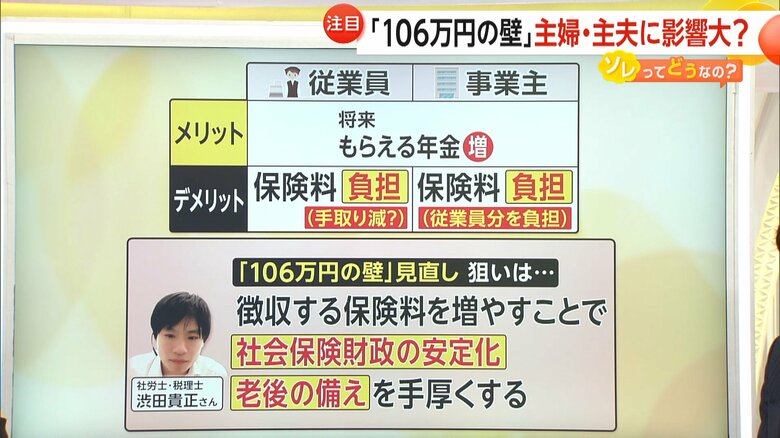 「106万円の壁」の見直しの狙い