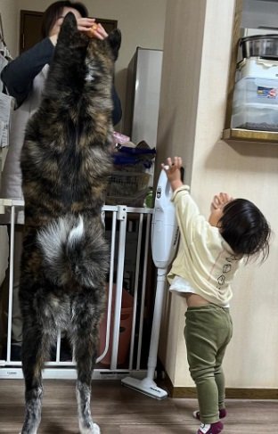 やっぱり大きいてんてんくん！