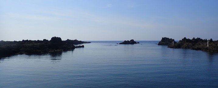 宿根木の浅海（提供：東京大学大学院理学系研究科・附属臨海実験所の三浦徹教授）