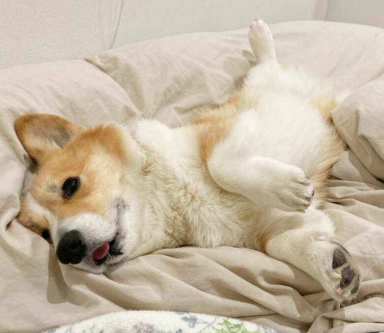 提供：むぎん家＠きよらさん