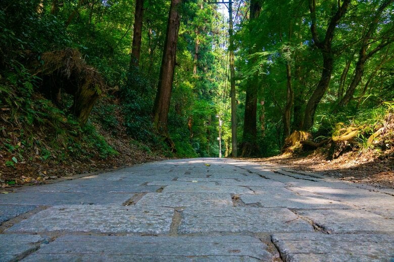 1号路は舗装された登山道（資料）