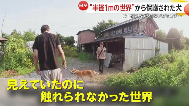 縄が切られ、うれしそうに飛び出すジョン（映像提供：あにまるず Animals）