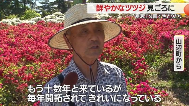 山形・山辺町から来た人のインタビュー