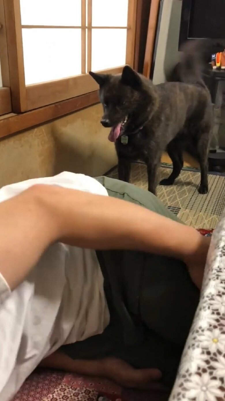 さだきちさんは倒れながらも笑ってしまっている