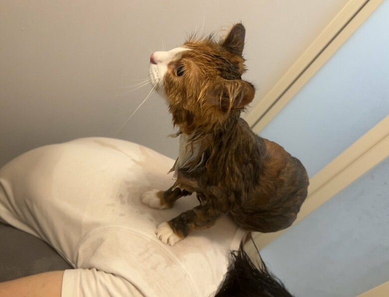 バスタオルも失敗。結局は旦那さんの背中の上で洗うことに