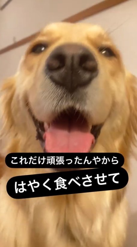 提供：エマさん