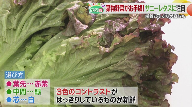 サニーレタスの選び方