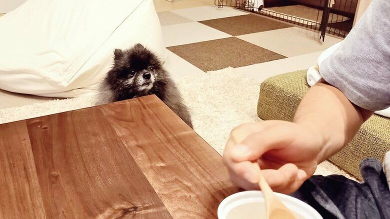 最後の一口まで、もらえる可能性を捨てない