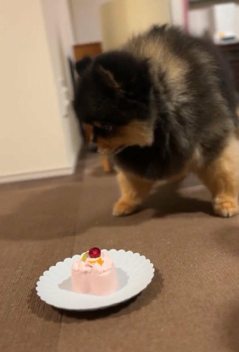 戸惑っている様子