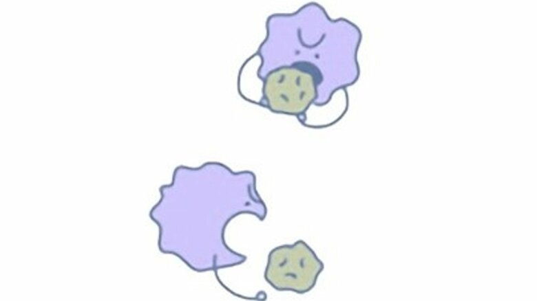 カビの成長に適した環境に（提供：パナソニック）