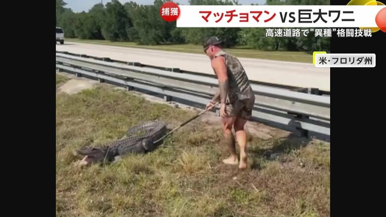 ナゾのマッチョマン対ワニ、まさに“異種”格闘技
