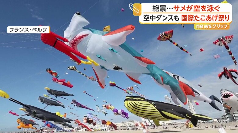 大空を気持ちよさそうに泳ぐ、海の生き物たち（フランス・ベルク）