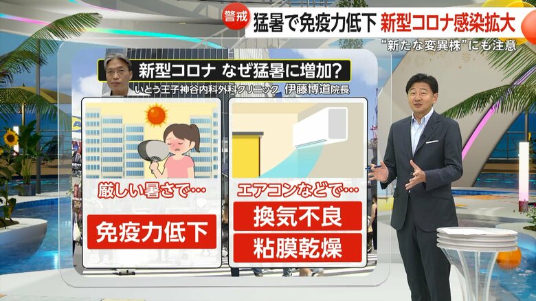 厳しい暑さの疲れによって低下している免疫力