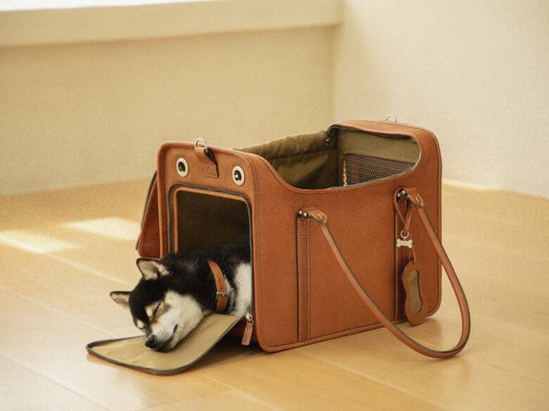 「ペットキャリーバッグ。」税込価格で25万3000円。（出典:土屋鞄製造所）