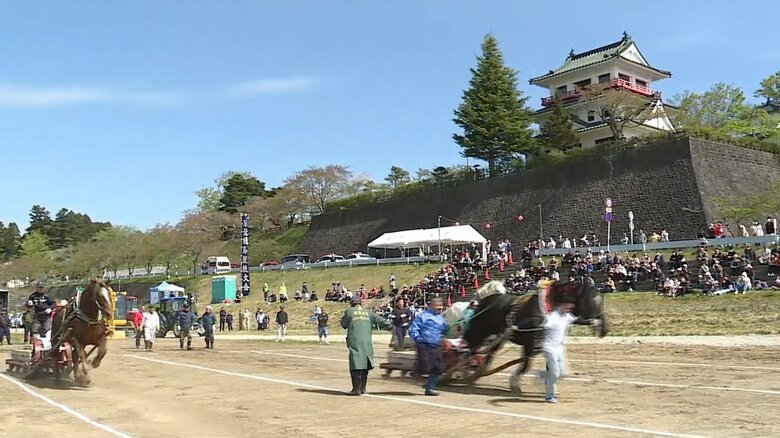 2024年の東北輓馬競技大会