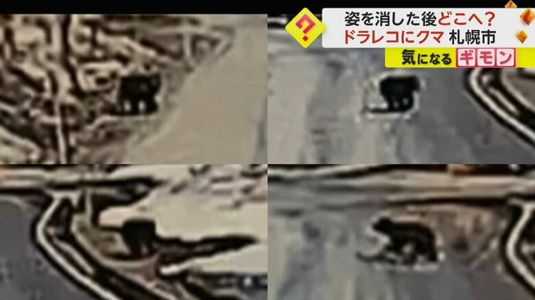 工事関係者しか入れない場所で目撃されたクマ（画像：視聴者撮影）