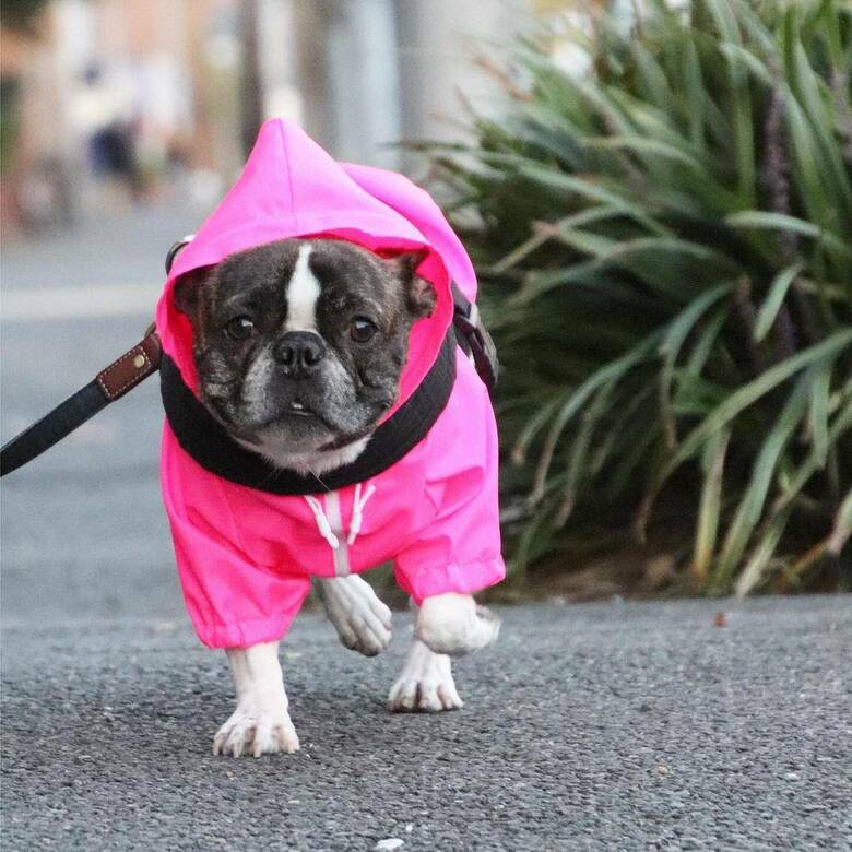 提供：丸男さん