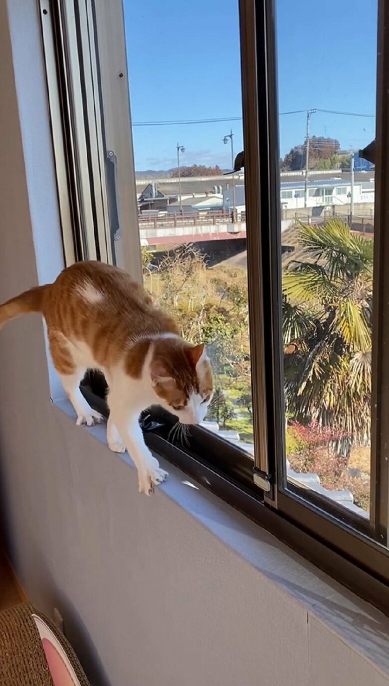 そしてキレイにUターン