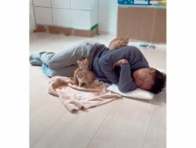 お母さん猫に擬態した旦那さん（提供：oimo210さん）