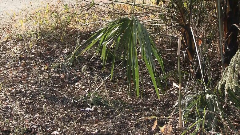 21日も宇都宮市内で雑木林など燃える